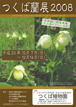 Page 1 Page 2 ランの多様性をきわめる ランといえば豪華な胡蝶や
