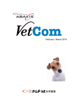 February / March 2010