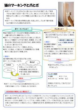 猫のマーキングと爪とぎ