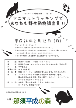 森林モニタリング体験プログラム 2012/2/12 PDF