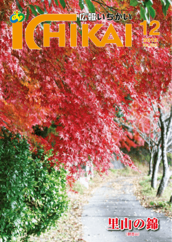 里山の錦 - 市貝町