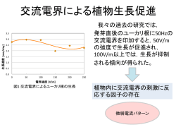 交流電界による植物生長促進