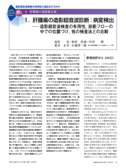 1．肝腫瘍の造影超音波診断：病変検出