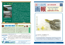 pdf形式 - 淀川管内河川レンジャー