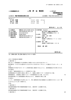 特許第3665813号 - J