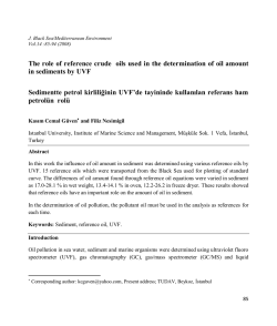 グラファイト Rake オーバーサイズ （ ブラック ） Graphite :: Oversize 286