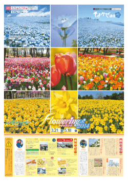 そよかぜ通信2014春号
