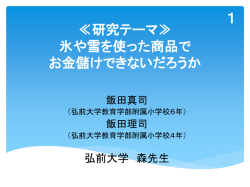 ≪研究テーマ≫ 氷や雪を使った商品で お金儲けできないだろうか