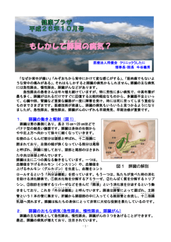もしかして膵臓 の病気？