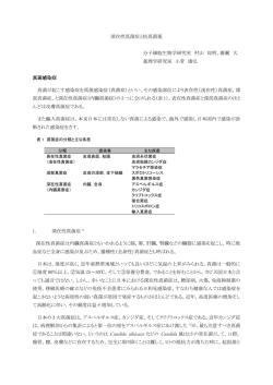 深在性真菌症と抗真菌薬 分子細胞生物学研究室 村山 琮明，廣瀬 大 薬