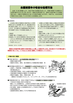 台風被害木の安全な処理方法