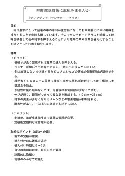 畦畔雑草対策に取組みませんか