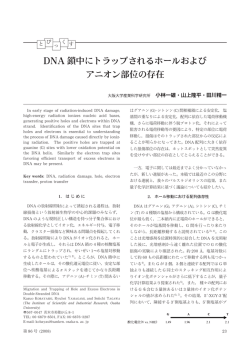PDFファイル（828 kB）