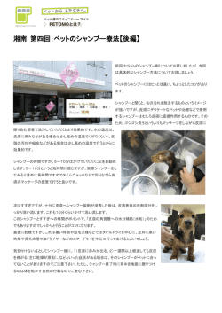 湘南 第四回：ペットのシャンプー療法【後編】