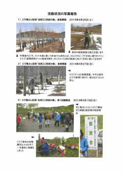河畔林の維持管理