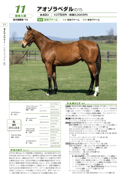 アオゾラペダルの15