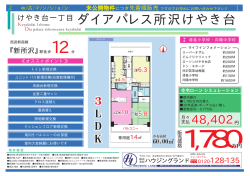 ダイアパレス所沢けやき台