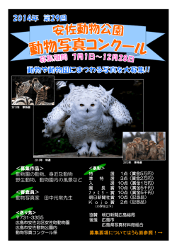 募集作品＞ 動物園の動物、身近な動物 野生動物、動物園内の風景など