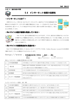 5.4 インターネット情報の信頼性