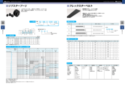 リブスタープーリ フレックスターベルト