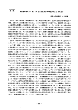 植物根における窒素の吸収と代謝