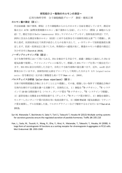 研究紹介2～動物のホルモンの測定～ 応用生物科学科 分子細胞機能