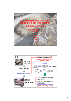 イオン吸着機能を高めるカキ殻の 熱処理条件最適化に関する研究
