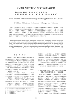 本文全体表示【PDF678KB】