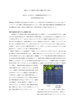 植物のイオン輸送系の構造と機能に関する研究