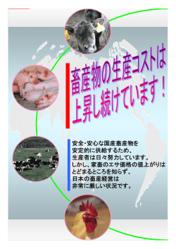 詳細版（PDF 607KB）