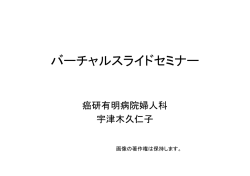 バーチャルスライドセミナー