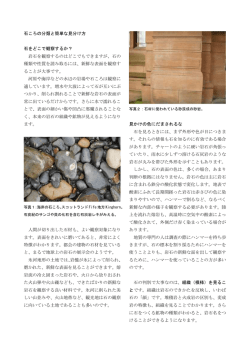 石ころの分類と簡単な見分け方