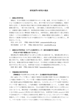 研究部門の研究の現状