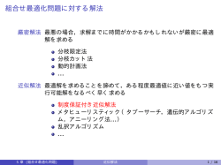 6 - Info Shako