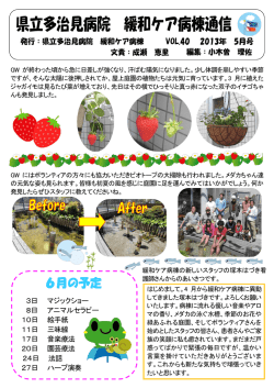 3日 マジックショー 8日 アニマルセラピー 10日 絵手紙 11日 三味線 17