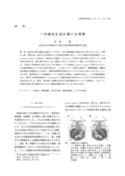 31 &sbquo;&ldquo;`&agrave; &trade;|ﬁc 3&ldquo;Z+