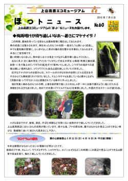 60（2016月7年6日） - 上山高原エコミュージアム