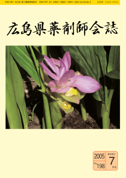 2005年 7月号 No.198