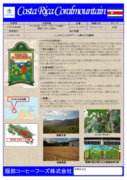 生産地域について～ ～コスタリカ コーラルマウンテンについて～ ～特徴