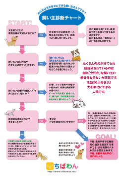 PDFダウンロード