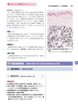 皮下脂肪組織疾患 disorder of subcutaneous fat