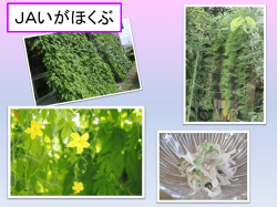 JAいがほくぶ