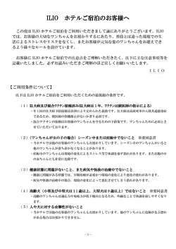 PDFファイル