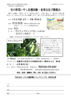 いやし収穫体験（スナップエンドウ）