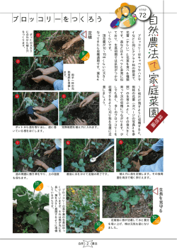 7～8月号 - MOA自然農法文化事業団