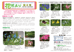 花だより - 箱根全山