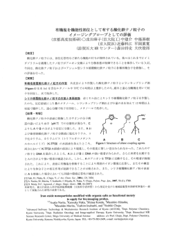 有機塩を機能性部位と して有する酸化鉄ナノ粒子の