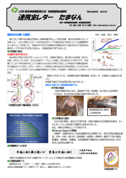癌総合的治療（大腸癌）