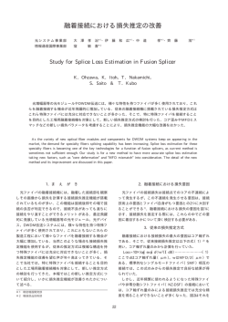 本文全体表示【PDF144KB】