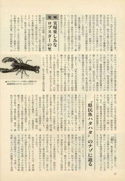 PDFファイルを表示
